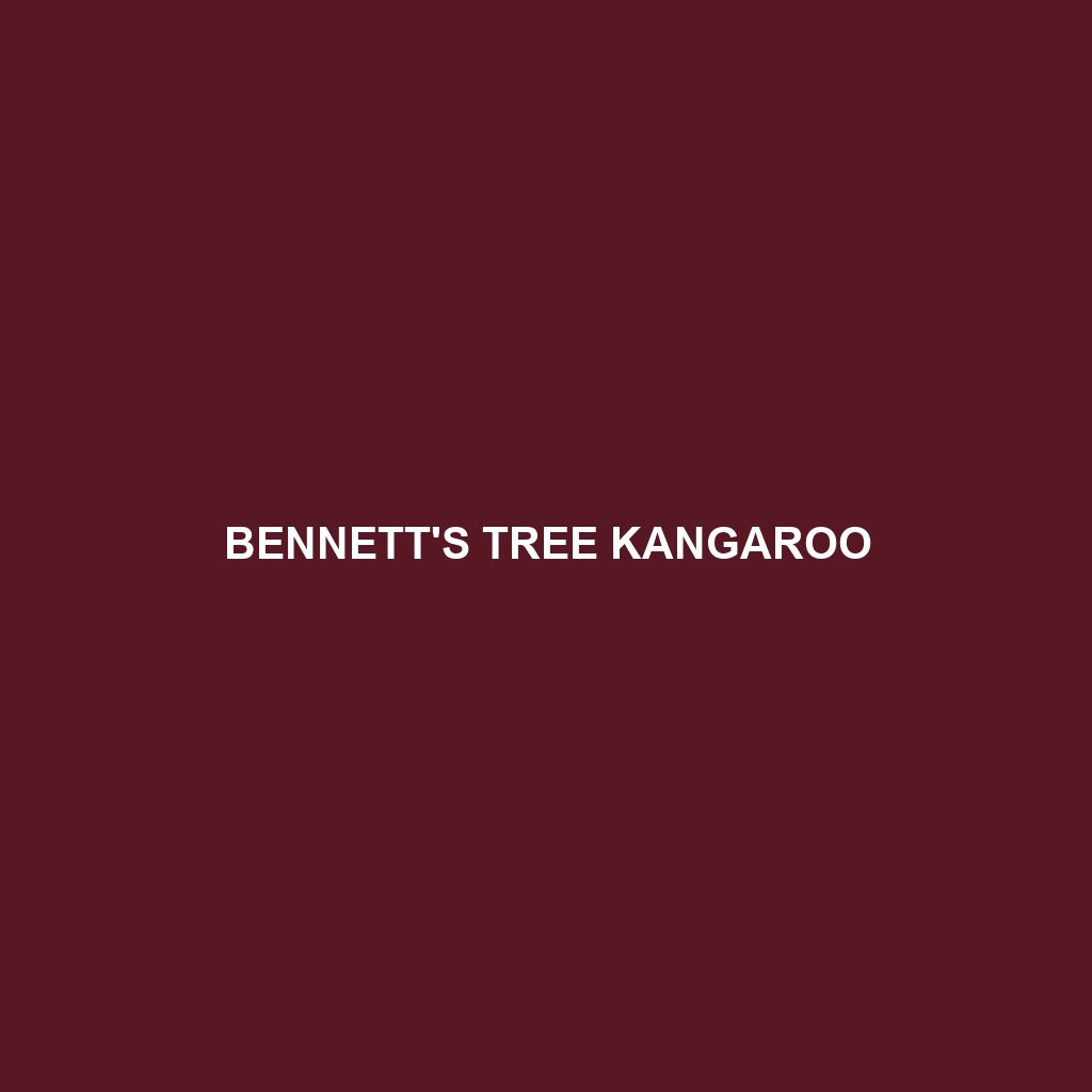 Bennett's Tree Kangaroo