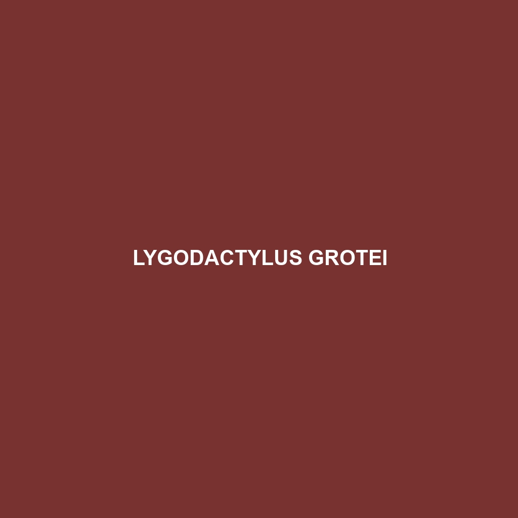 Lygodactylus grotei