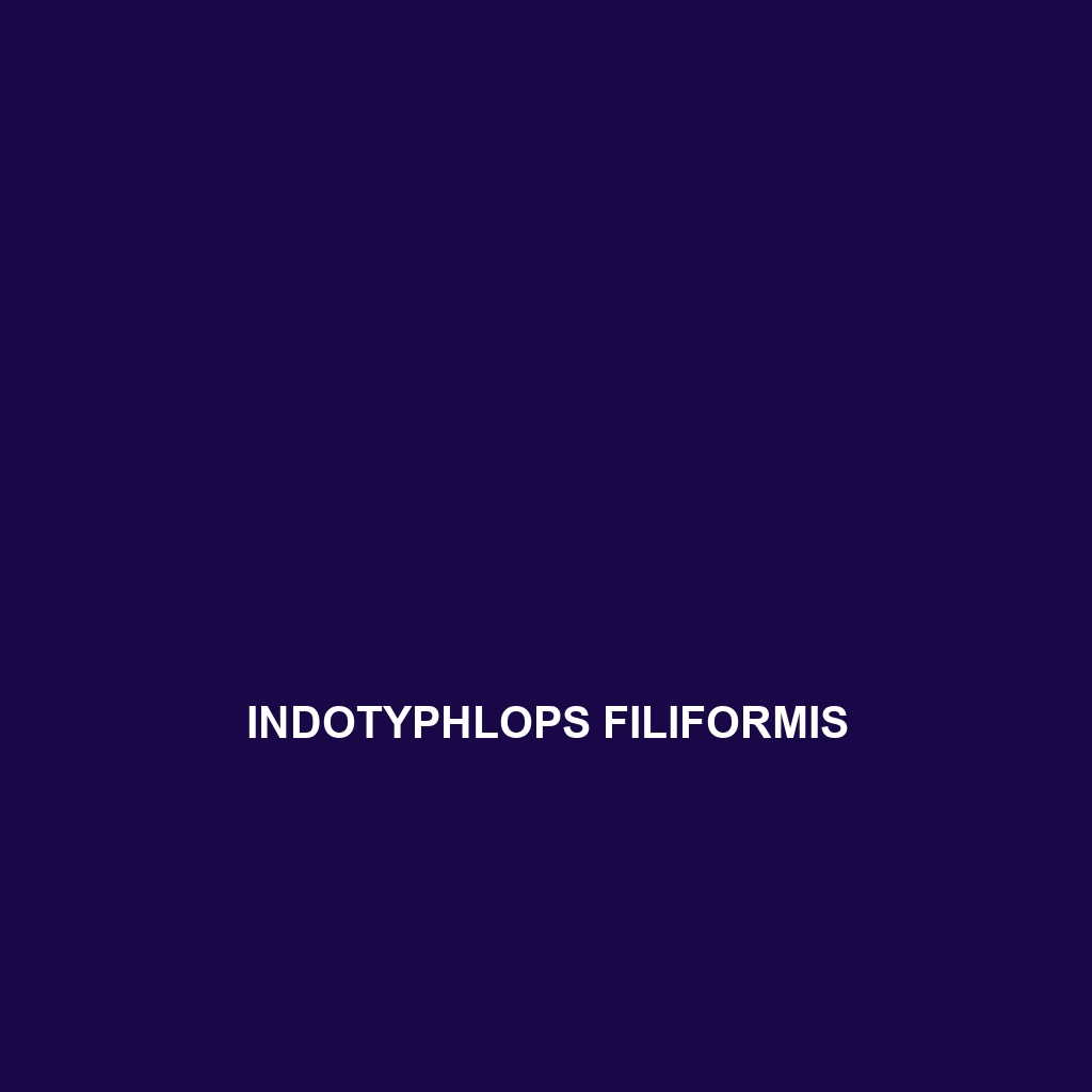 Indotyphlops combank