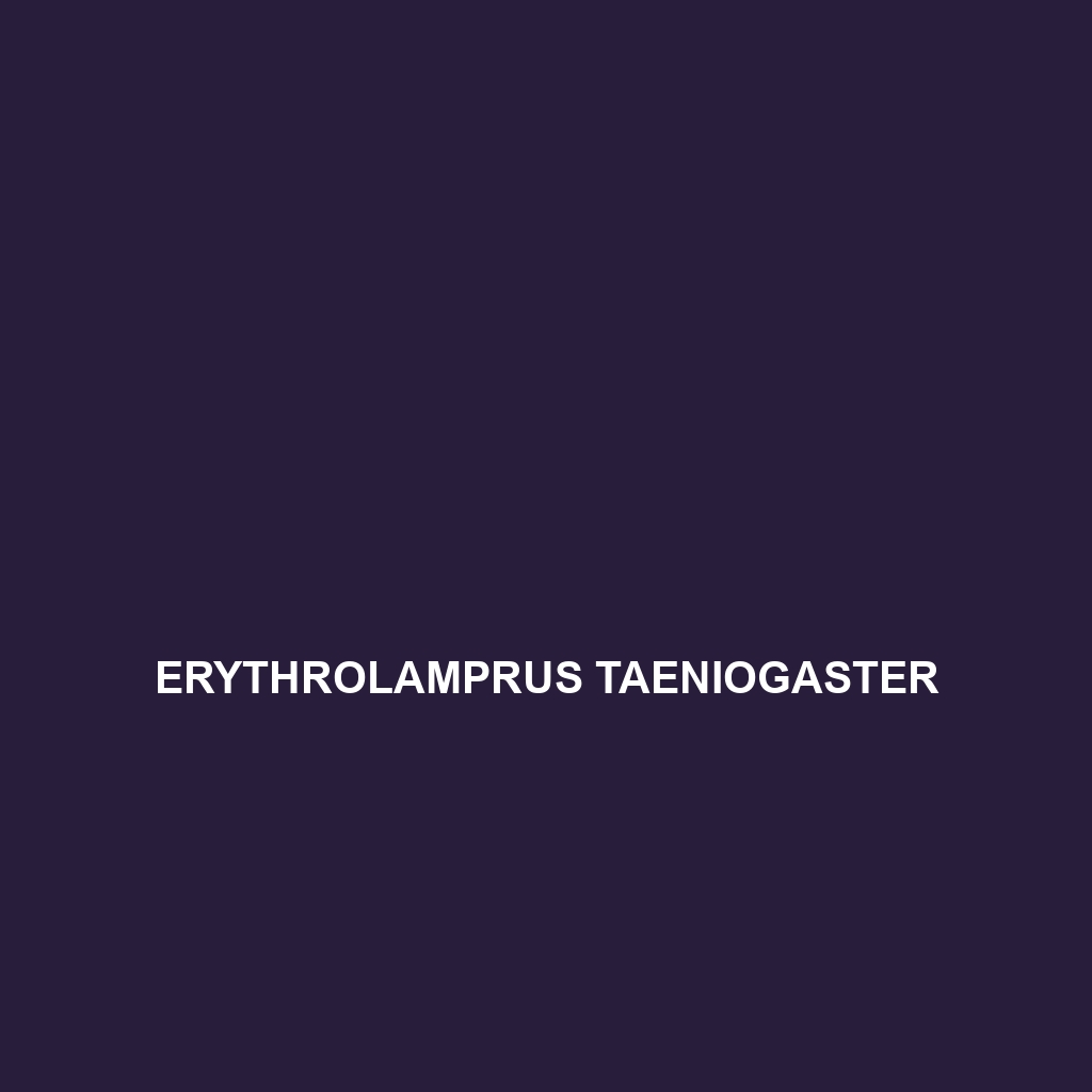 Erythrolamprus taeniogaster