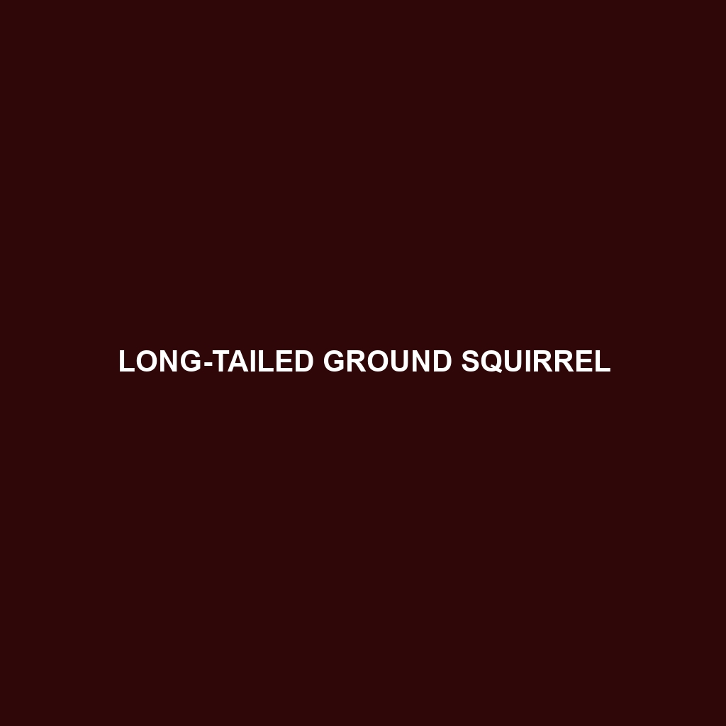 Long-tailed Ground Squirrel