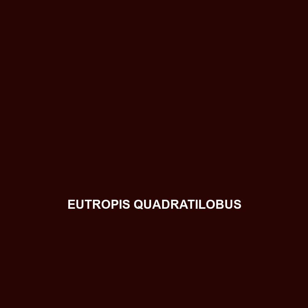 Eutropis quadratilobus