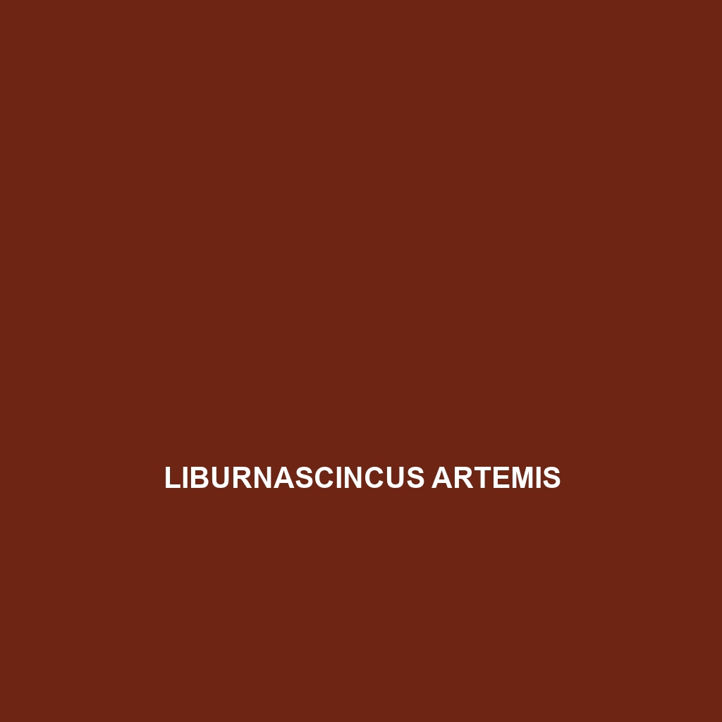 Liburnascincus artemis