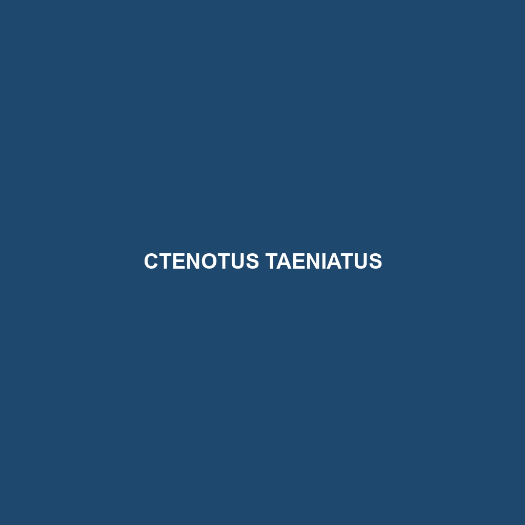 Ctenotus taeniatus