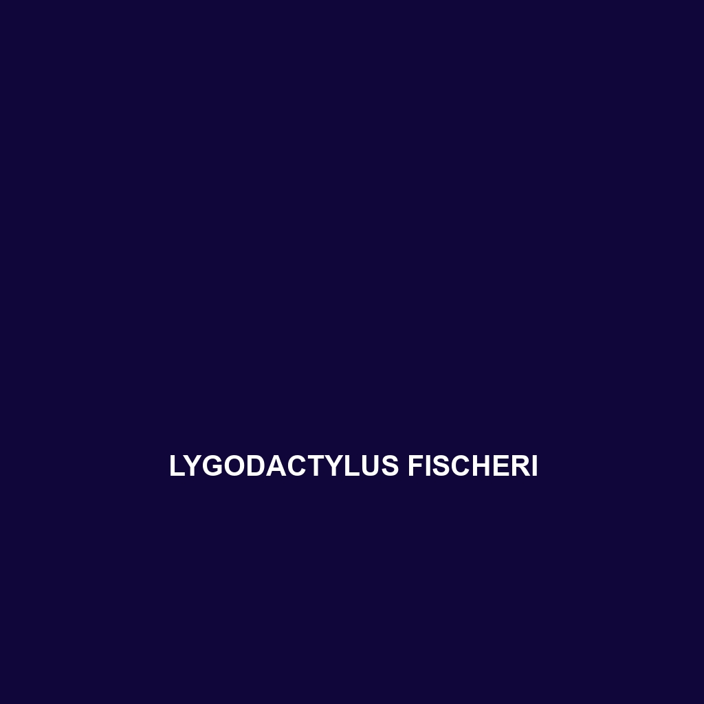 Lygodactylus expectatus