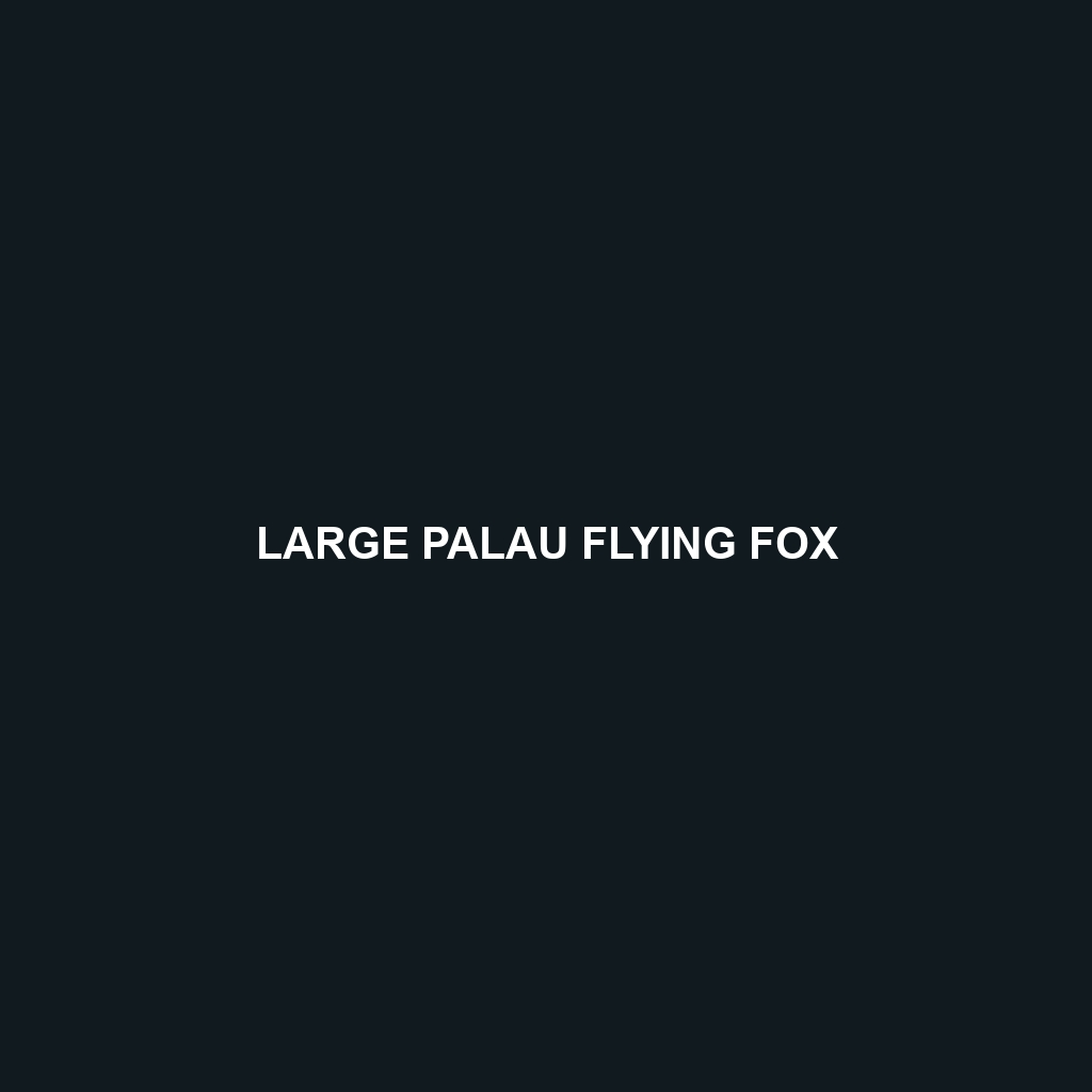 Large Palau Flying Fox