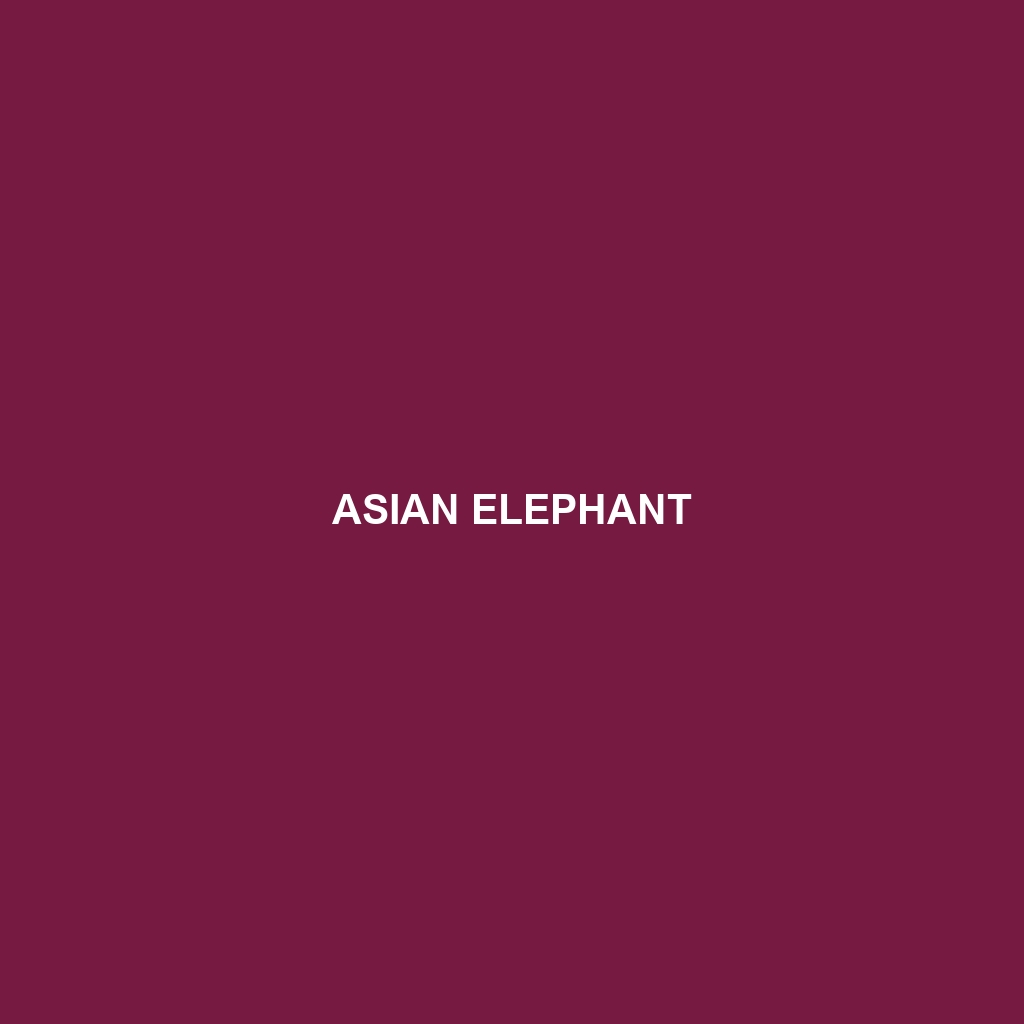 Asian Elephant