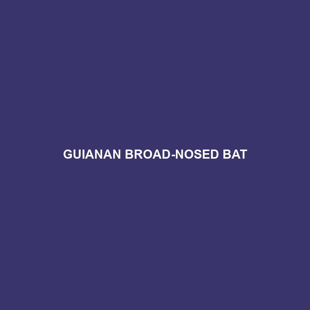 Guianan Broad-nosed Bat