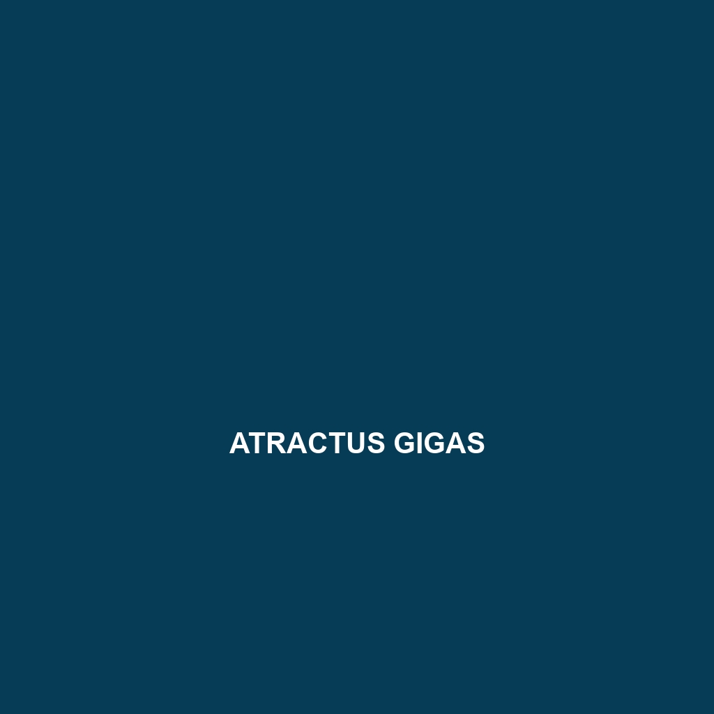 Atractus gigas