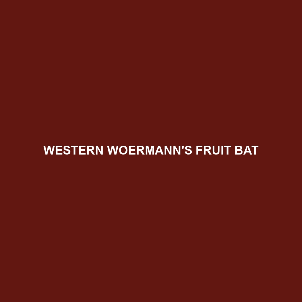 Western Woermann's Fruit Bat