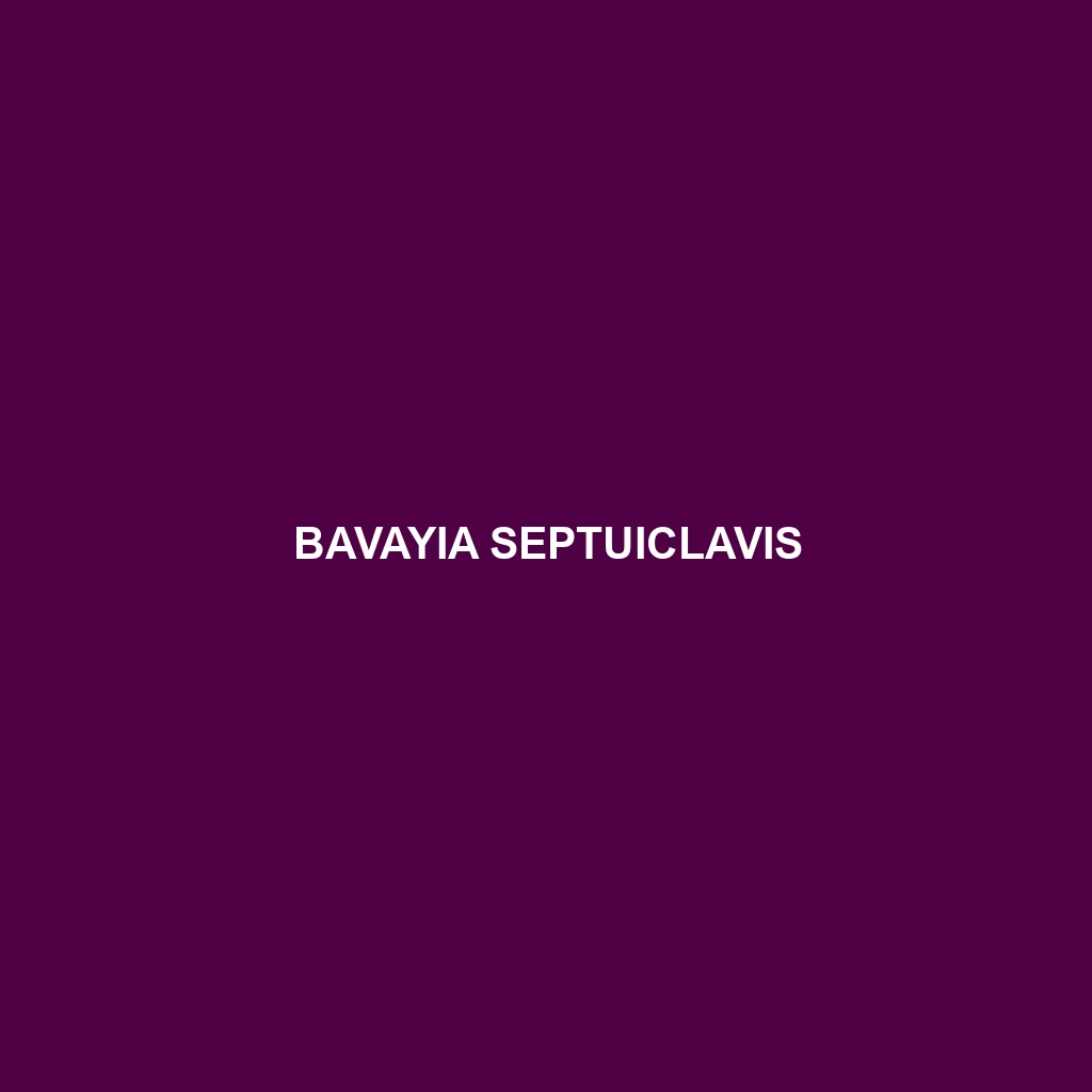 Bavayia septuiclavis