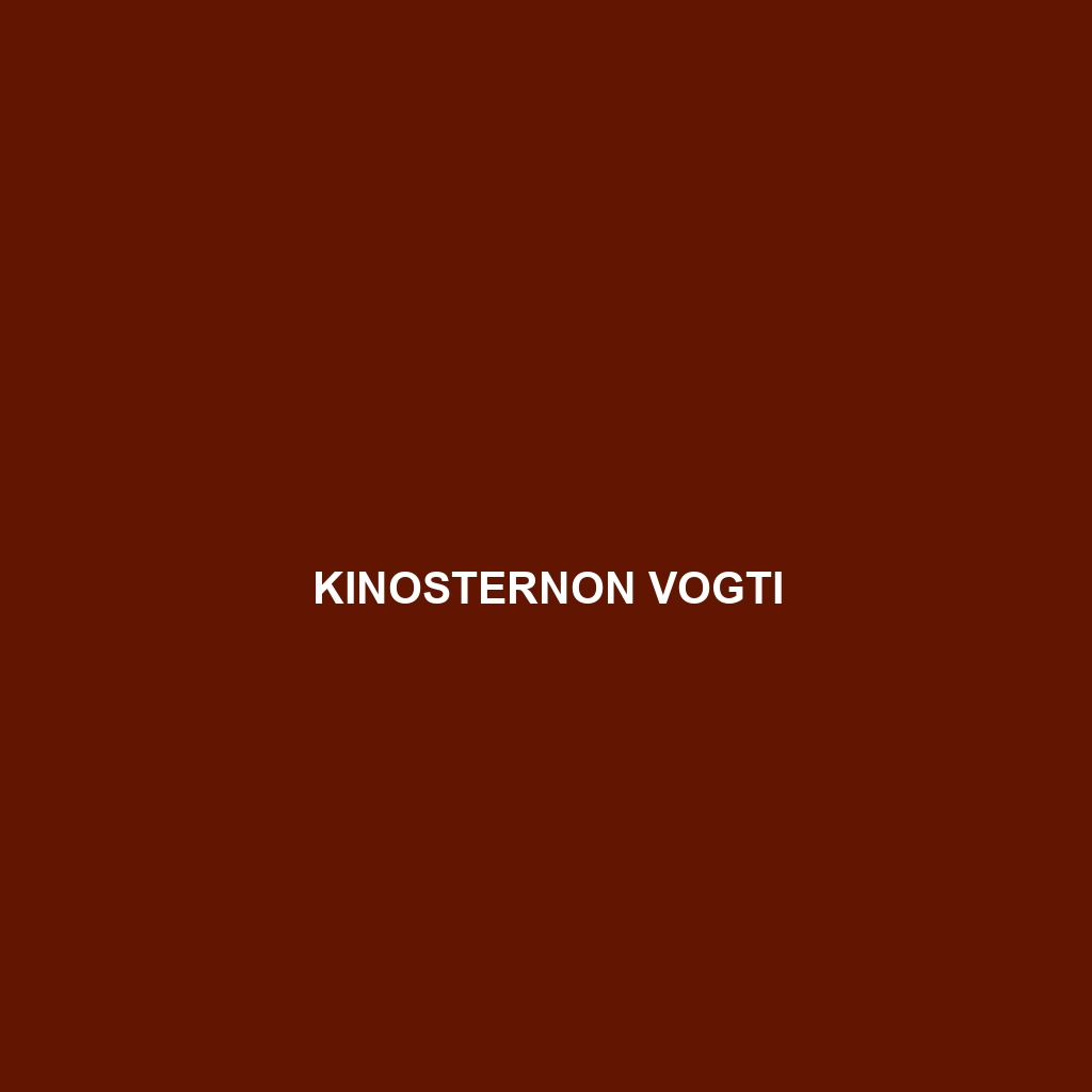 Kinosternon vogti