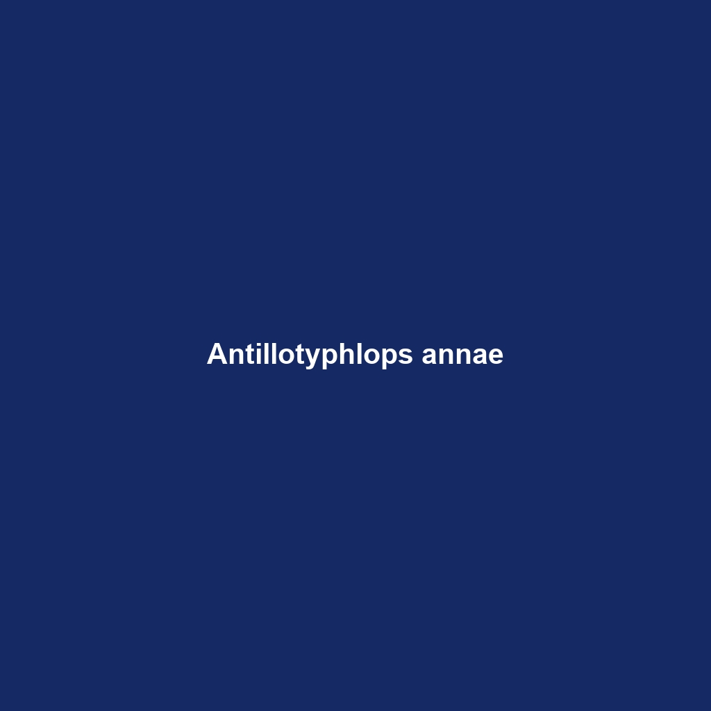 Antillotyphlops annae