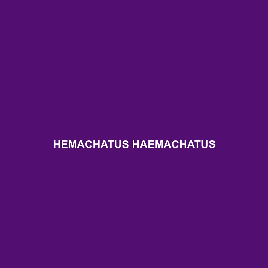 Hemachatus haemachatus