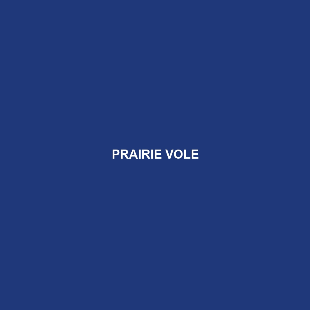 Prairie Vole