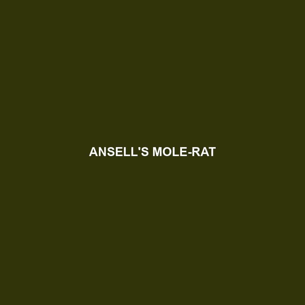 Ansell's Mole-rat