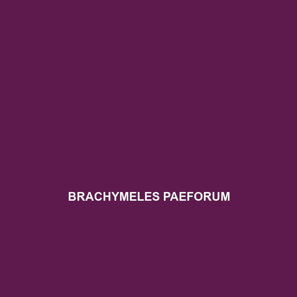 Brachymeles paeforum