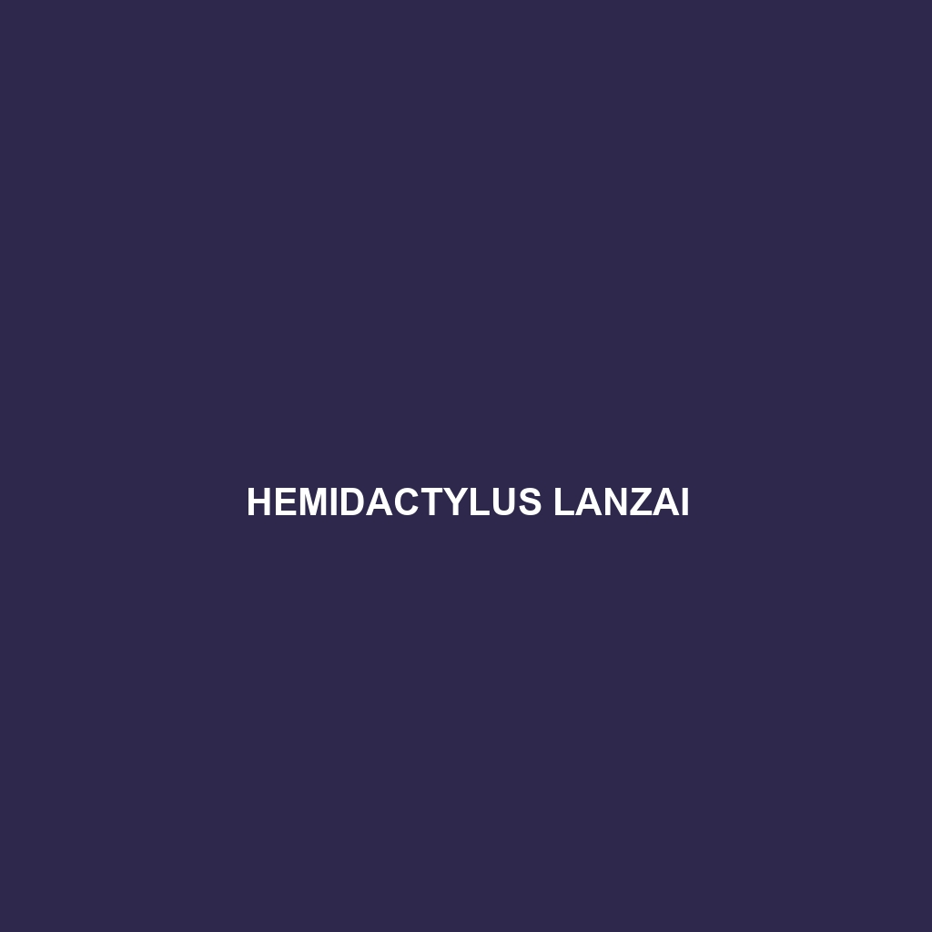 Hemidactylus lanzai