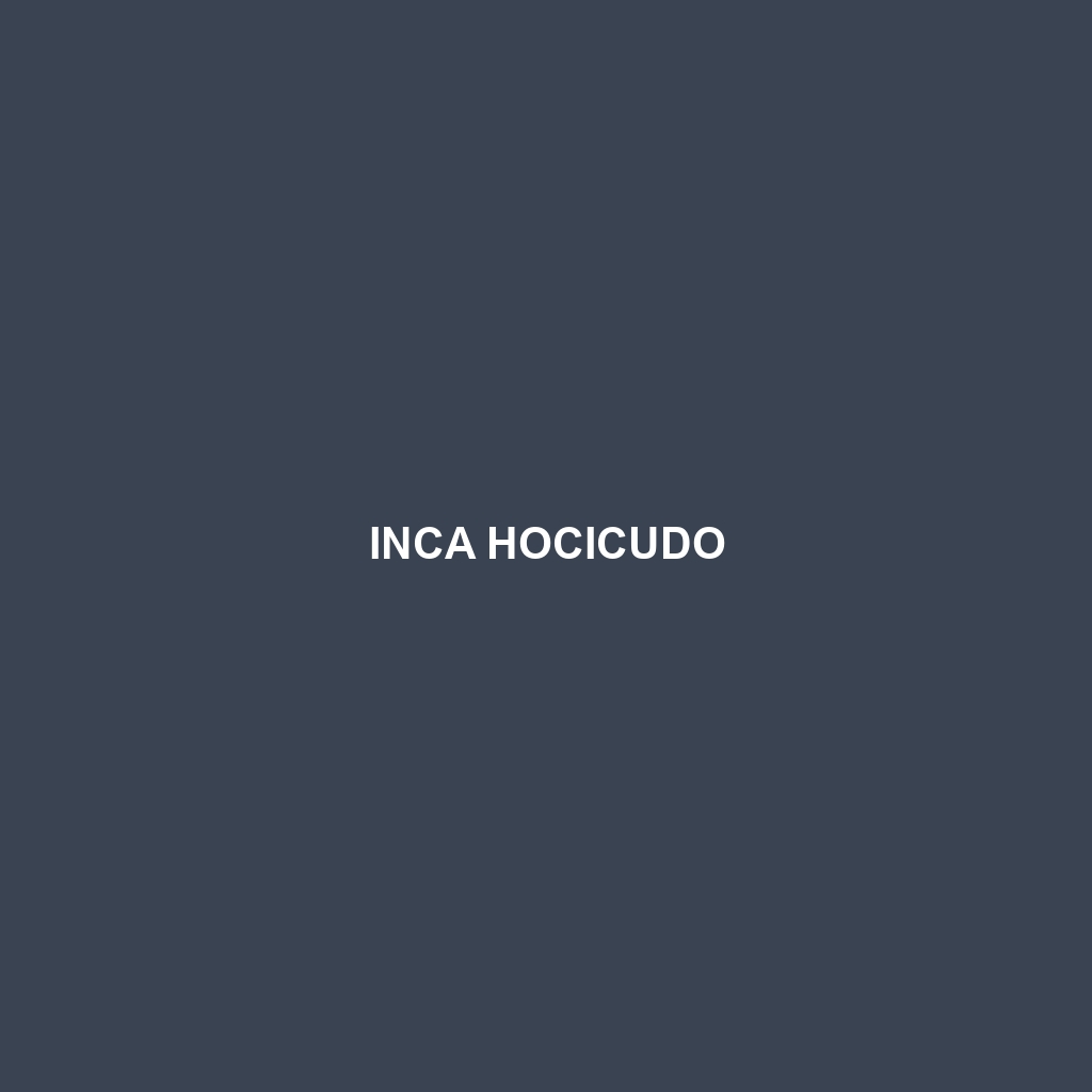 Inca Hocicudo