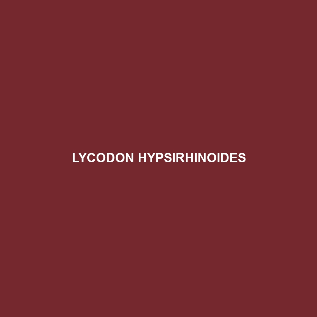 Lycodon hypsirhinoides