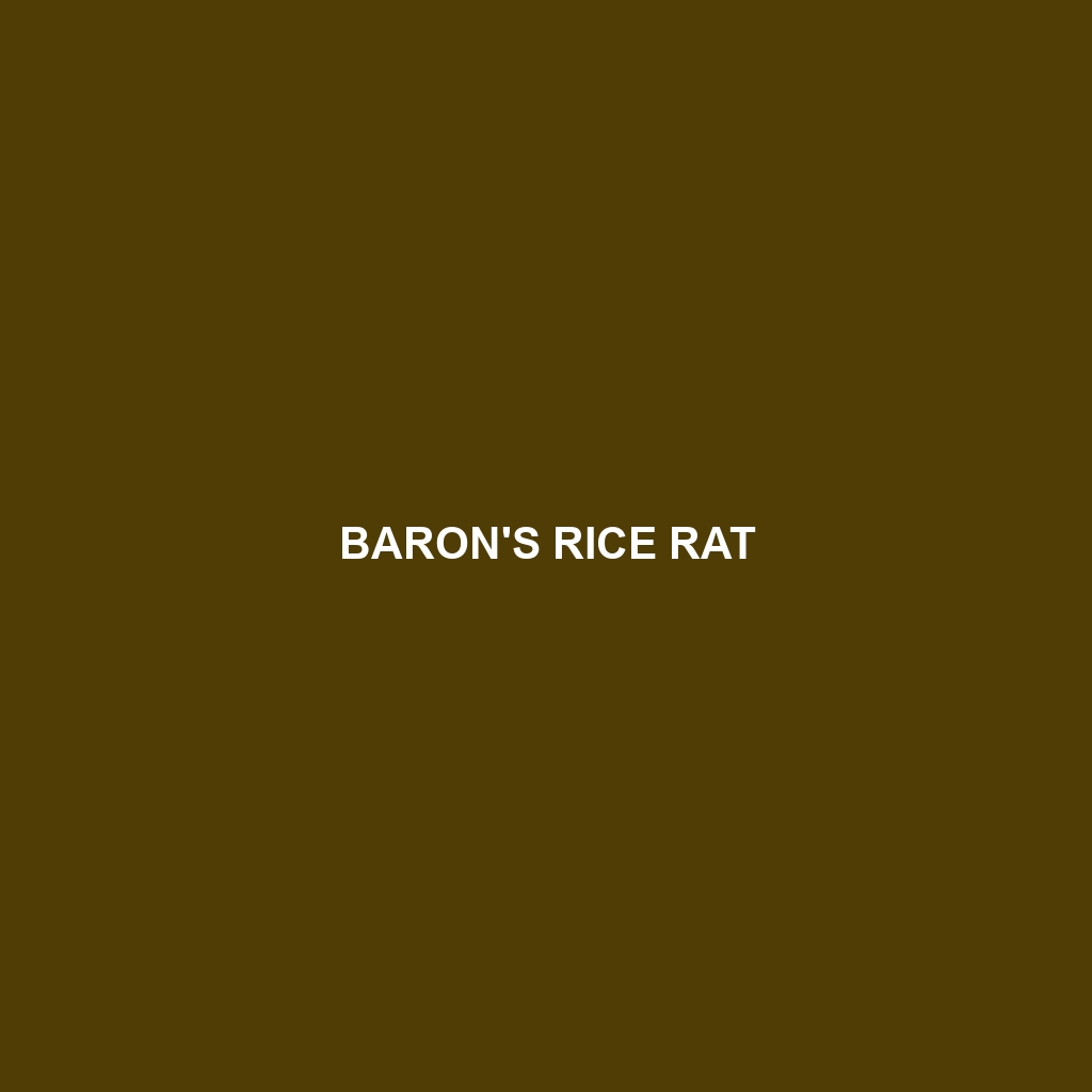 Baron's Rice Rat