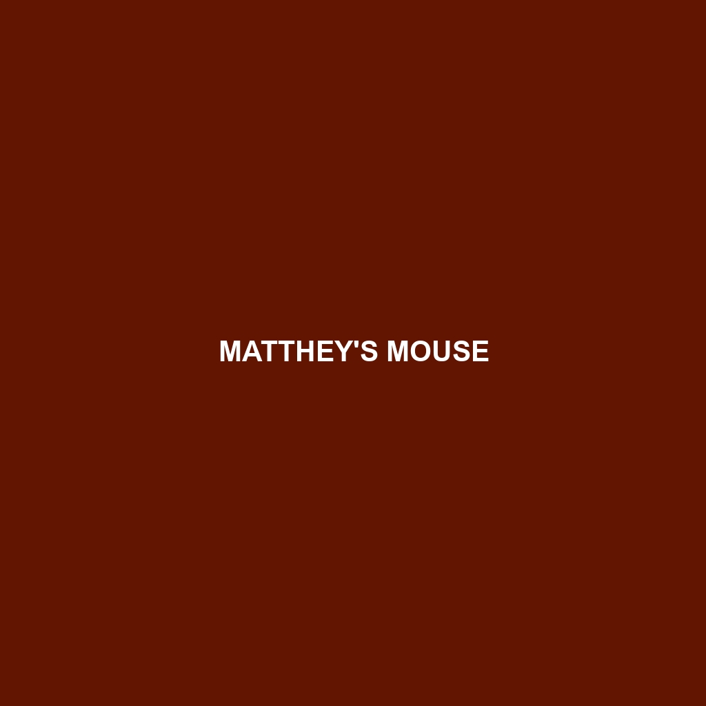 Matthey's Mouse