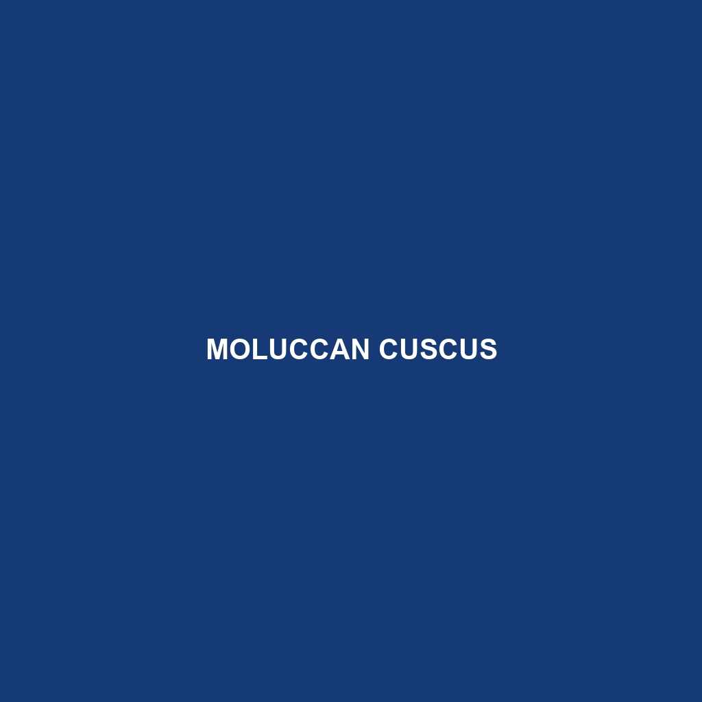 Moluccan Cuscus