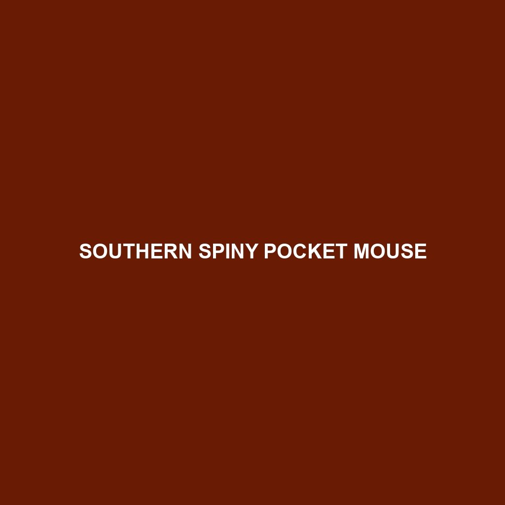 Southern Spiny Pocket Mouse