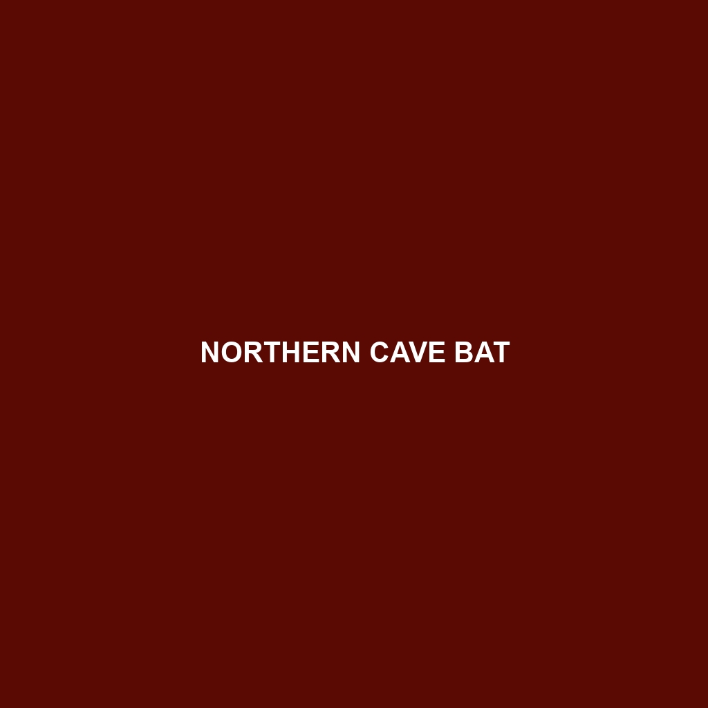 Northern Cave Bat