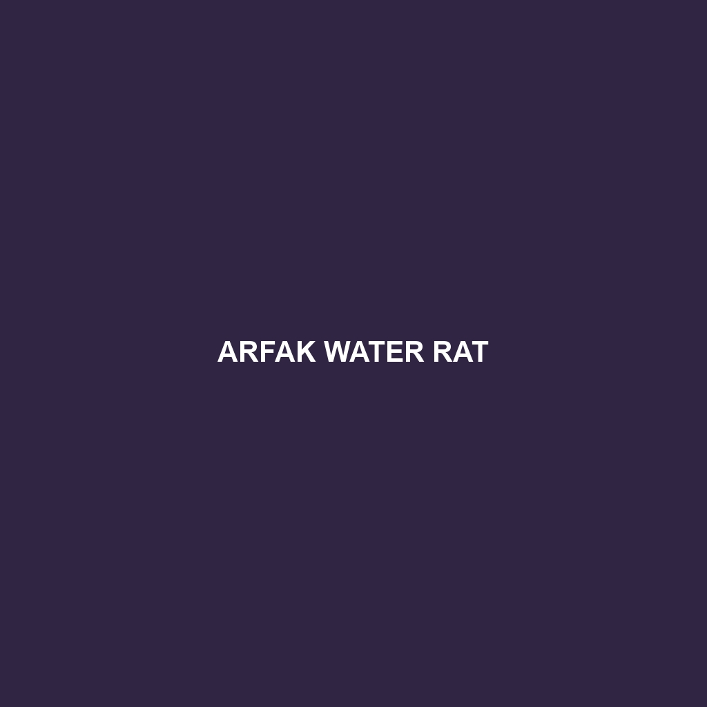 Arfak Water Rat