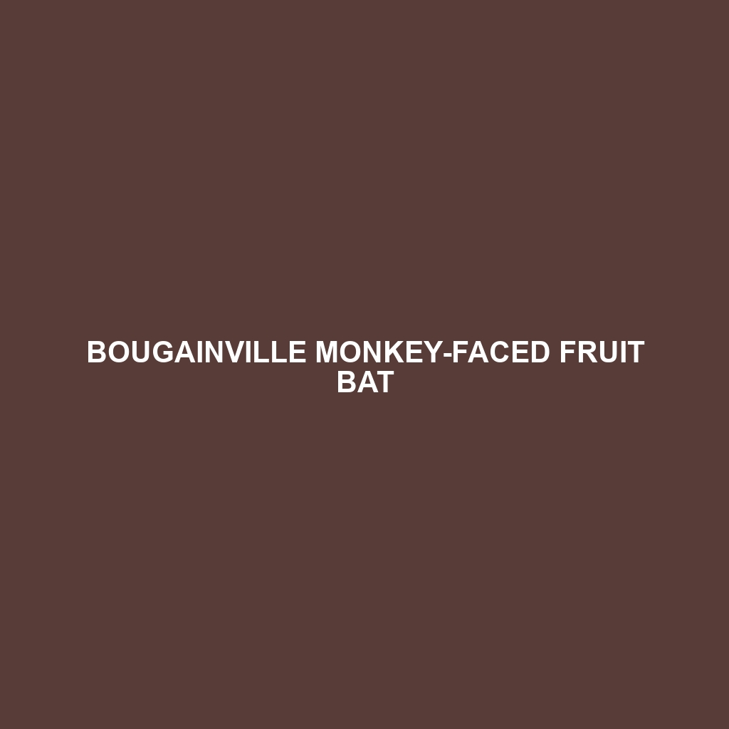 Bougainville Monkey-faced Fruit Bat