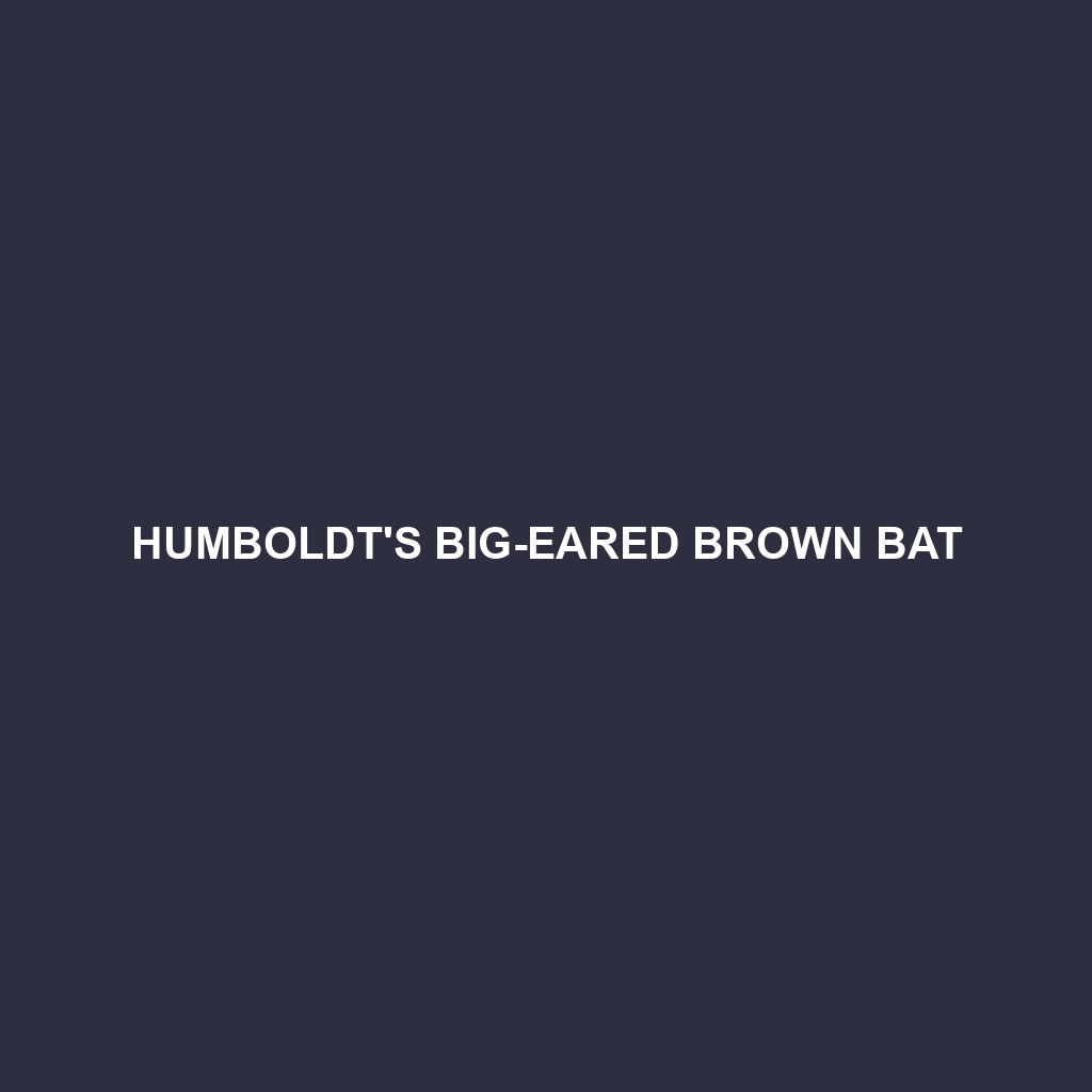 Humboldt's Big-eared Brown Bat