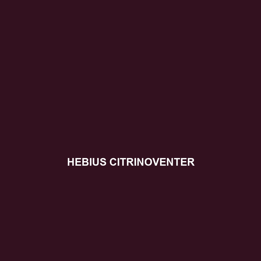 Hebius citrinoventer