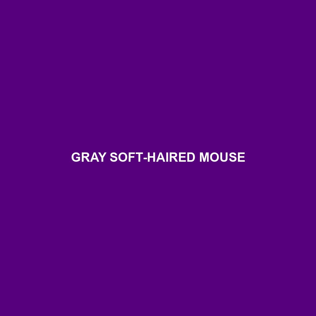 Gray Soft-haired Mouse