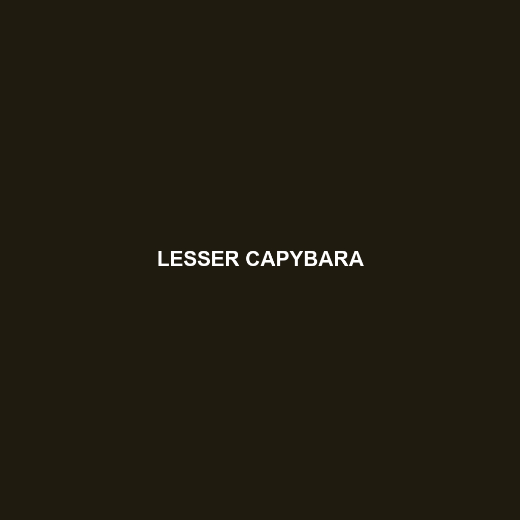 Lesser Capybara