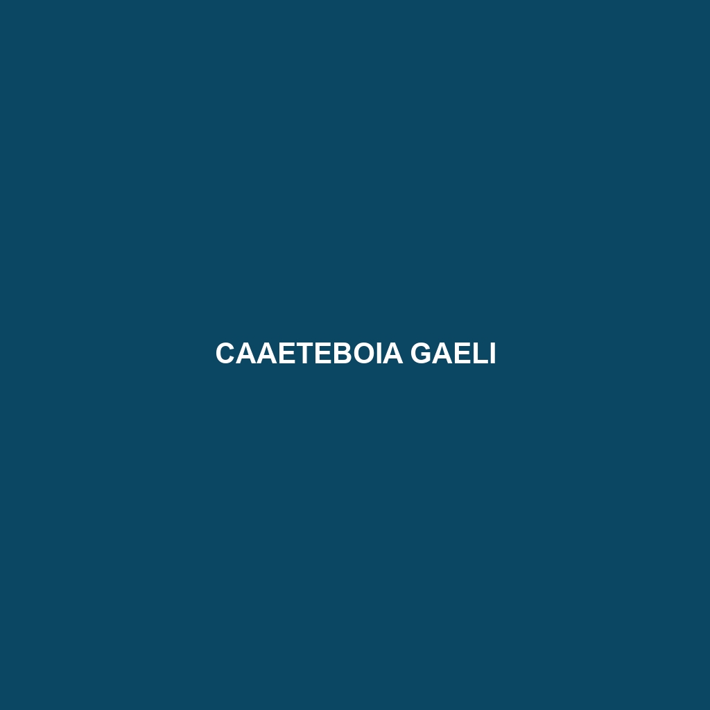 Caaeteboia gaeli