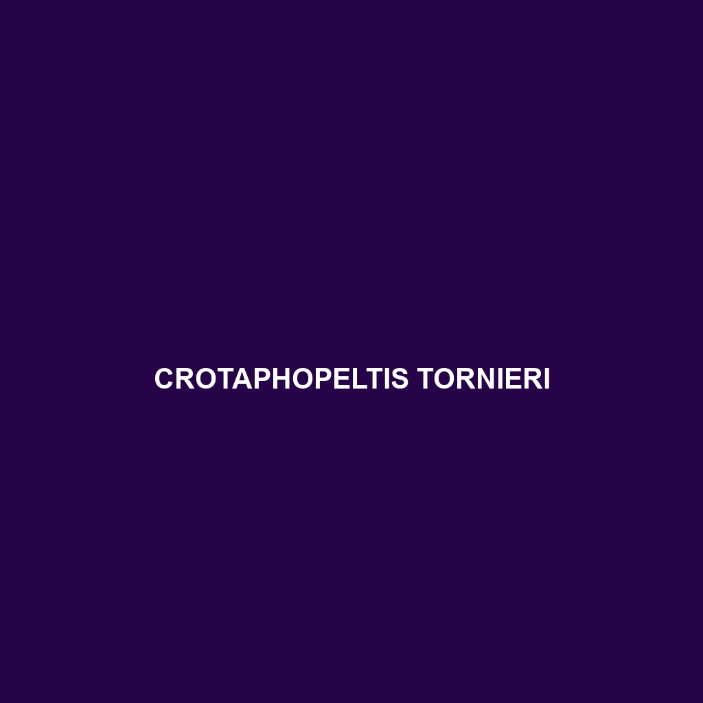 Crotaphopeltis tornieri