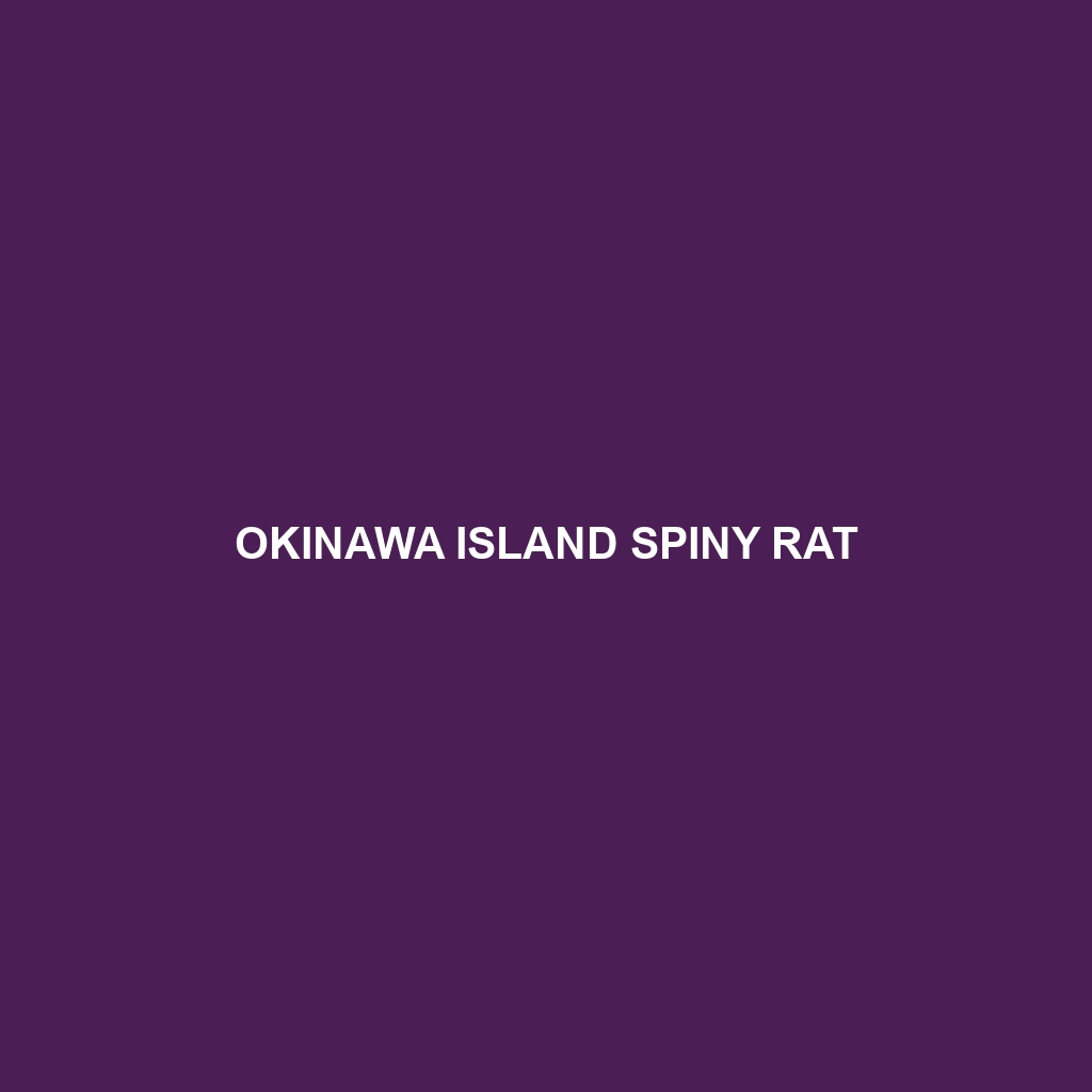 Okinawa Island Spiny Rat