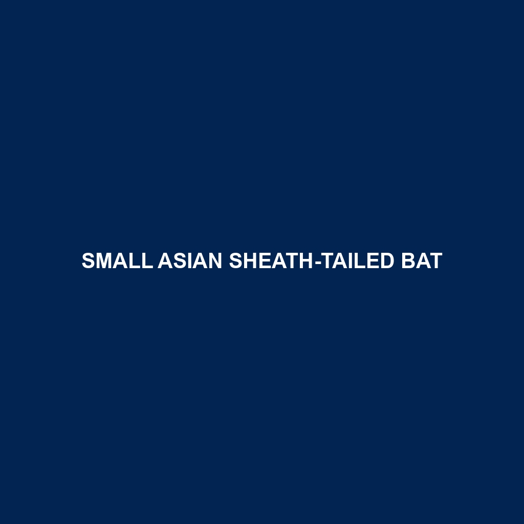 Small Asian Sheath-tailed Bat