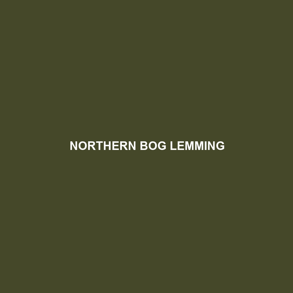 Northern Bog Lemming