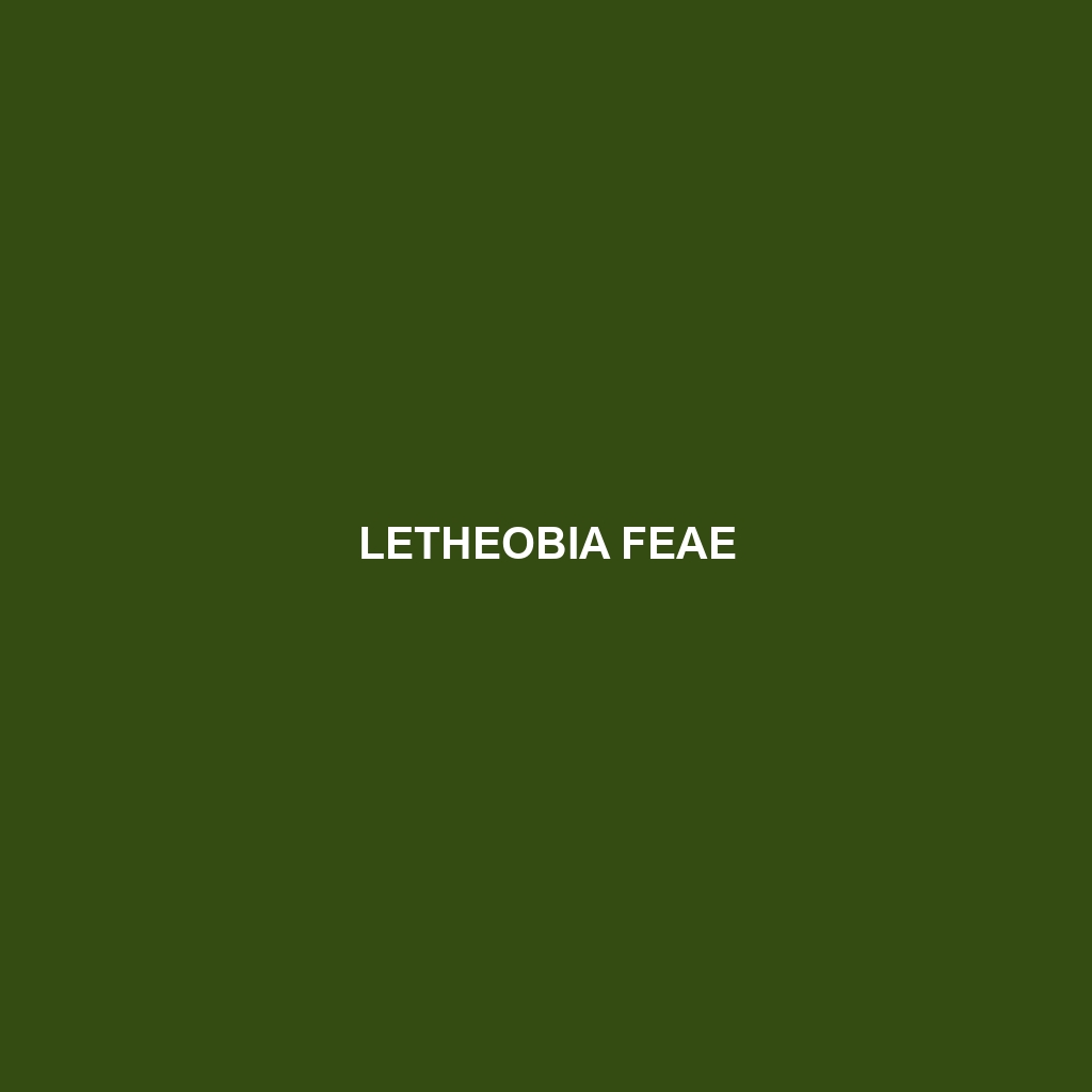 Letheobia feae