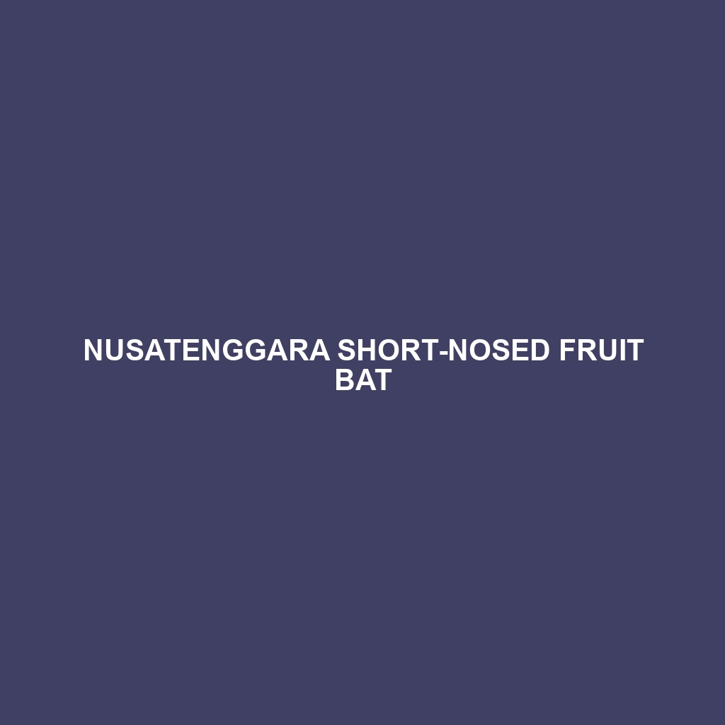 Nusatenggara Short-nosed Fruit Bat