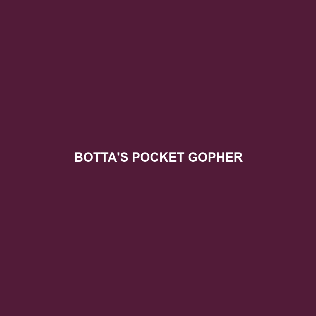 Botta's Pocket Gopher