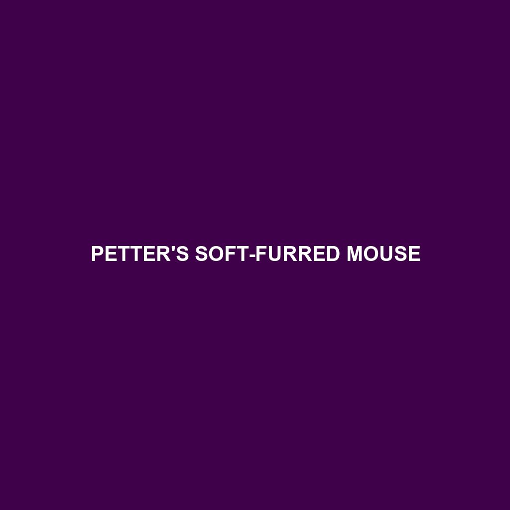 Petter's Soft-furred Mouse