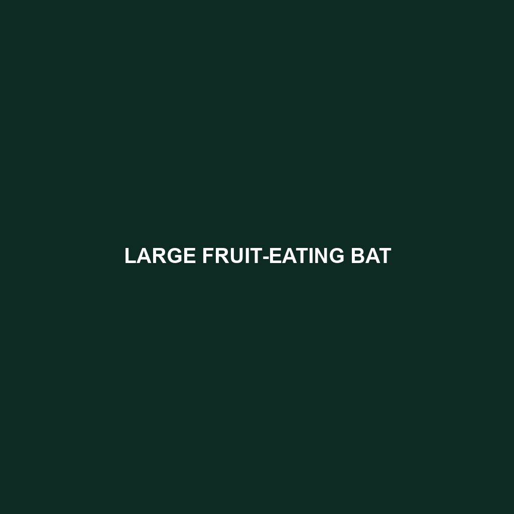 Large Fruit-eating Bat