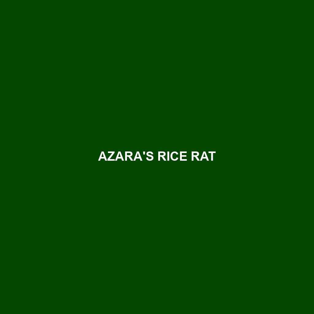 Azara's Rice Rat