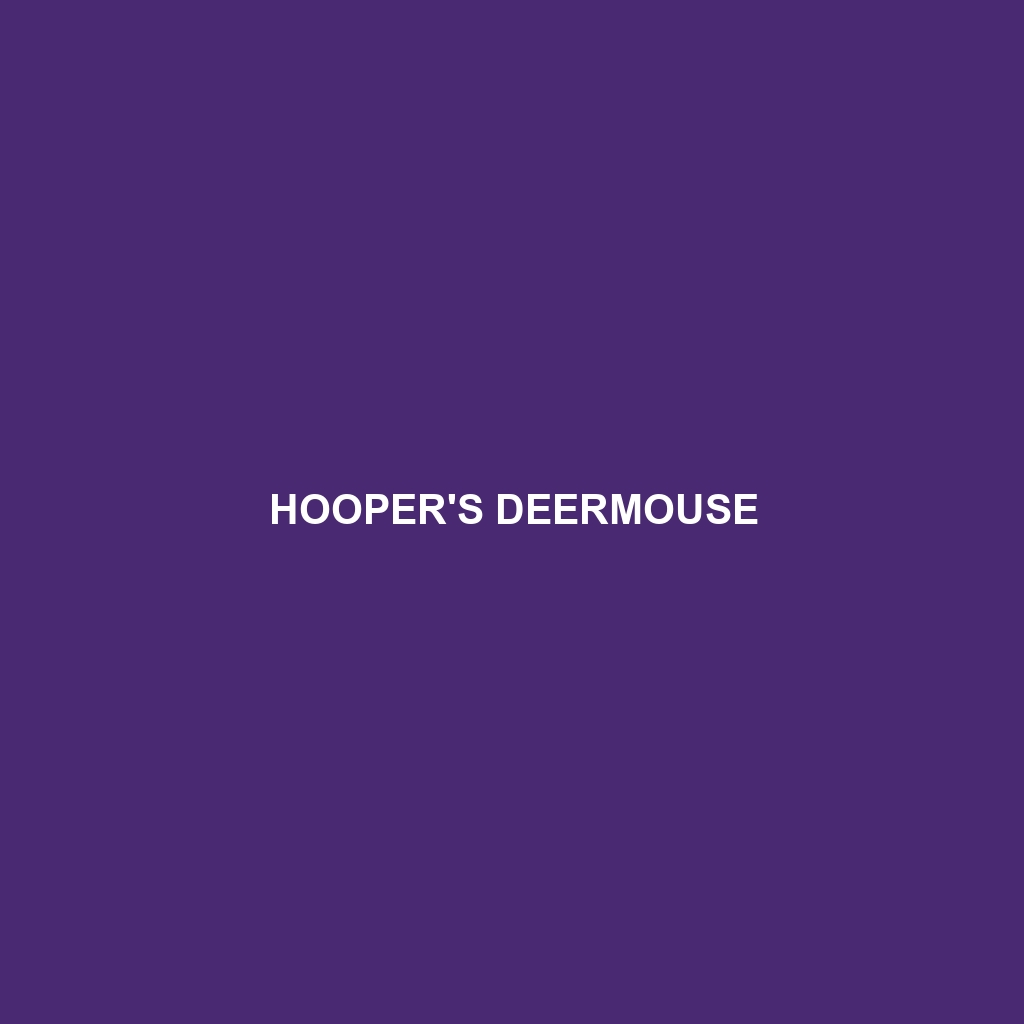 Hooper's Deermouse