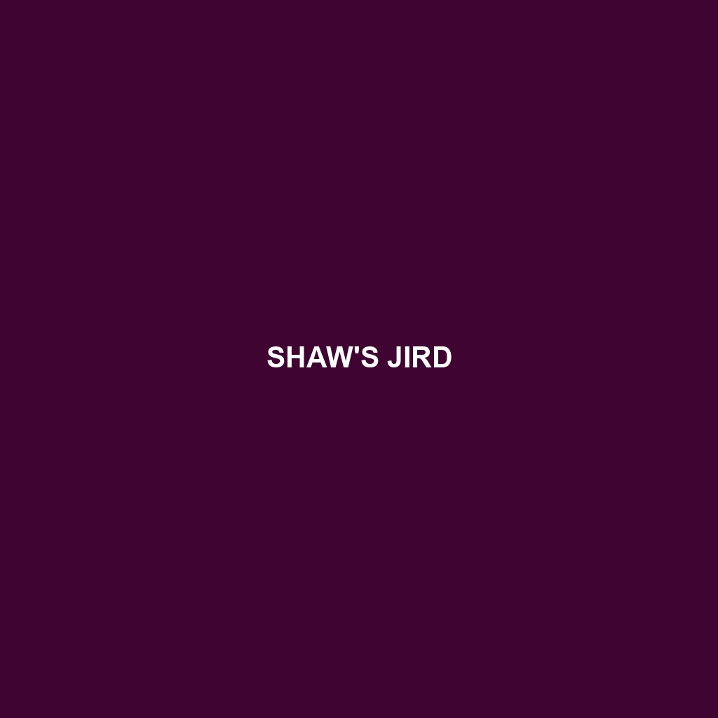 Shaw's Jird