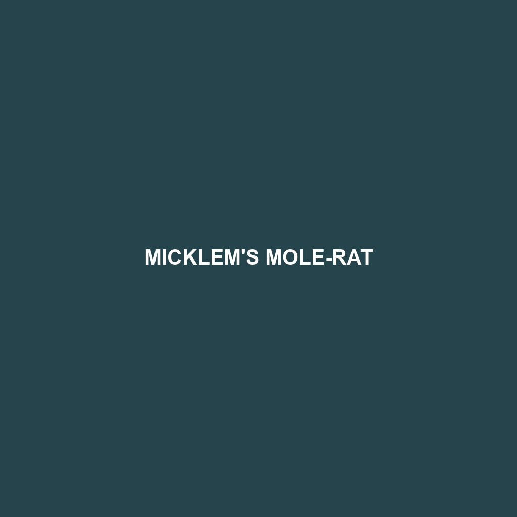 Micklem's Mole-rat