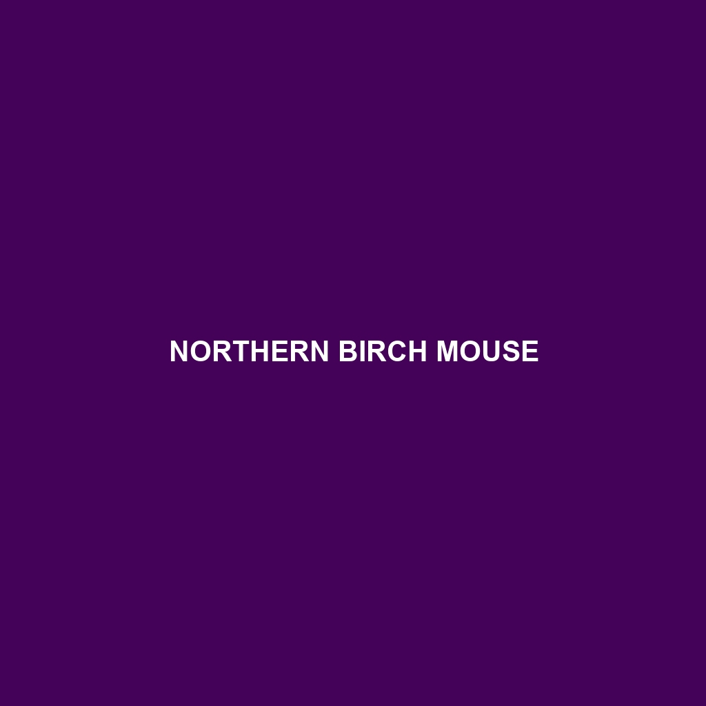 Northern Birch Mouse